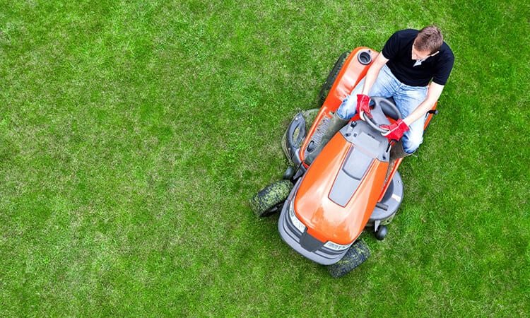 The 7 Best Garden Tractors For Garden Maintenance