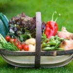 The 7 Best Garden Trugs For Collecting Harvest