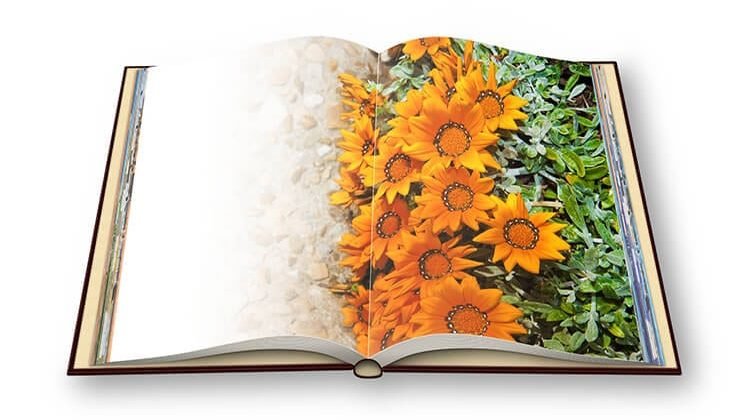The 7 Best Gardening Books For Beginners
