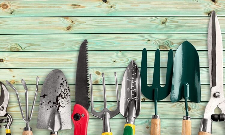 The 7 Best Gifts For Gardeners