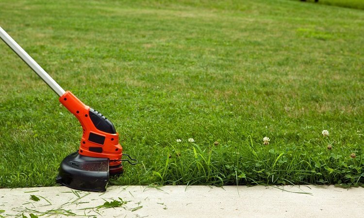 The 7 Best Grass Cutters For Small Gardens