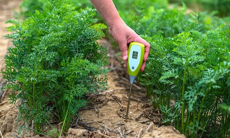 The 7 Best Home Garden Soil Test Kits