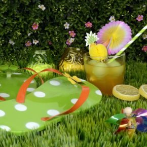 The Clueless Gardener's Glossary of Terms