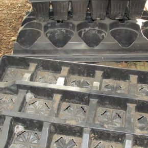 dirty seedling trays