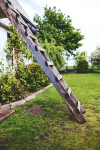 climbing the green ladder